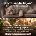 Mega menu gatuno + 3 bonos "La nueva alimentación conciente"