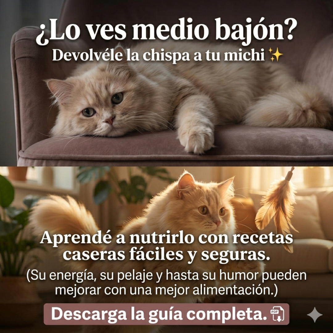 Mega menu gatuno + 3 bonos "La nueva alimentación conciente"